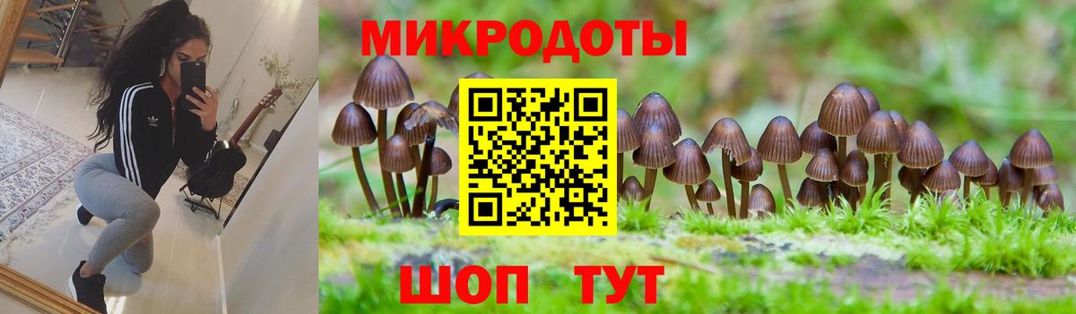 Сунжа  Галлюциногенные грибы мицелий  Псилоцибиновые грибы прущие грибы  Вход с VPN 