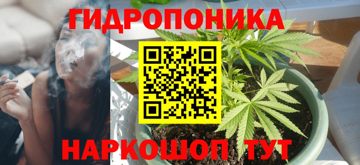Конопля AK-47  Вход с VPN  Конопля конопля  Сунжа  Канабис SATIVA & INDICA 