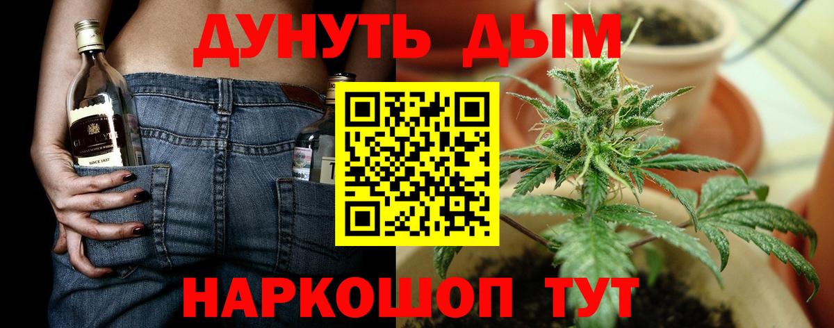 Конопля SATIVA & INDICA Сунжа